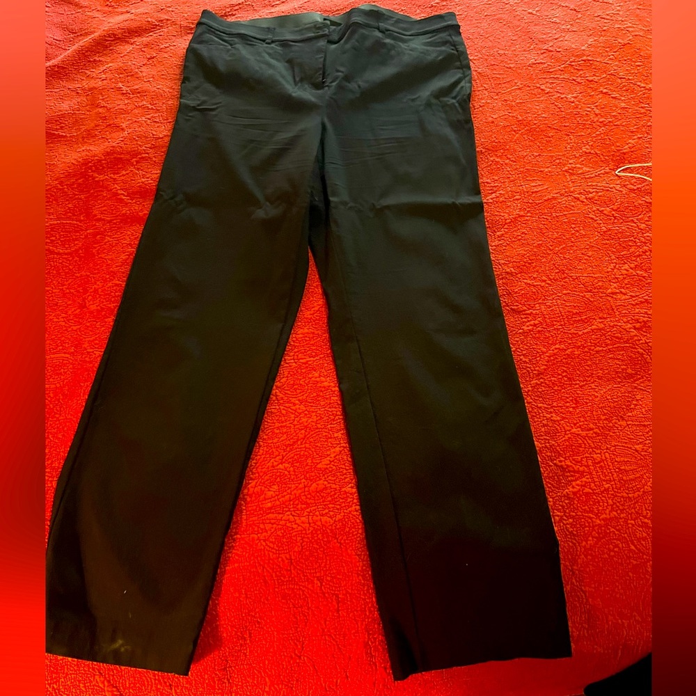 Lane Bryant pants.